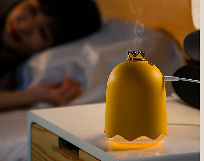 “250ml Crown Duck USB Ultrasonic Humidifier – Mini Desktop & Car Air Purifier for Home and Office”